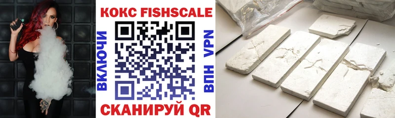 Кокаин Fish Scale  Купить закладки  Пыталово 