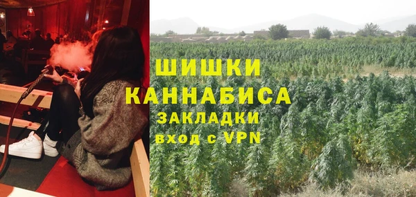 прущие крисы Осинники