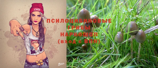 прущие крисы Осинники