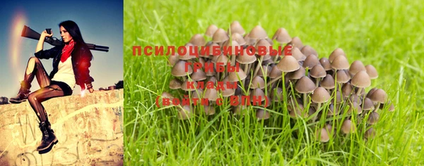 кокаин Осташков