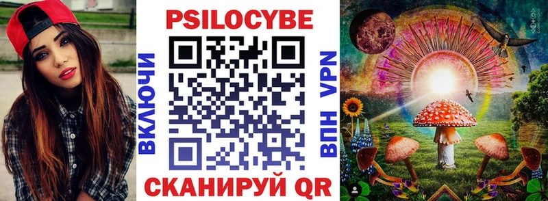 Купить закладки  Пыталово  Галлюциногенные грибы Psilocybine cubensis 